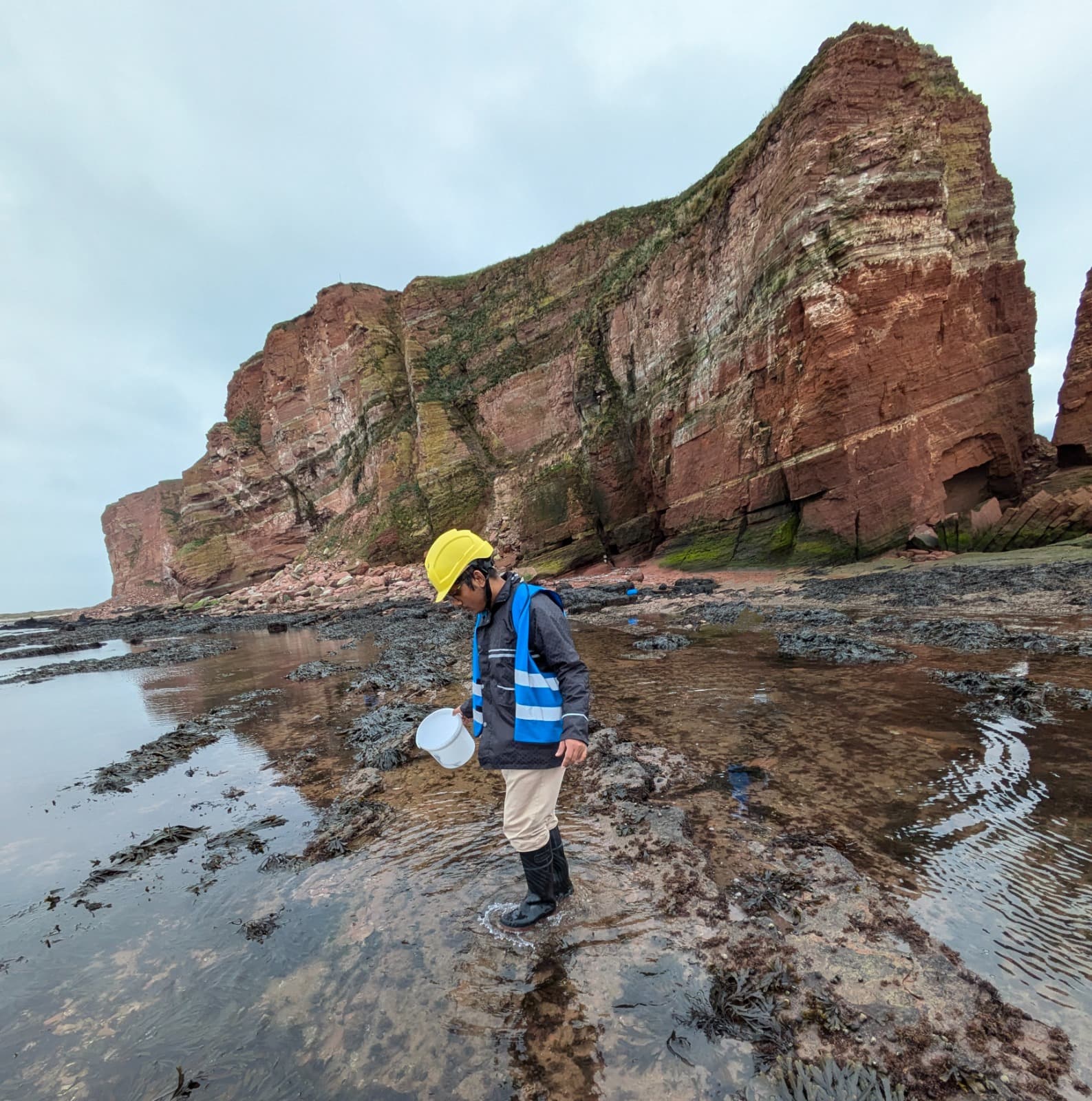 Research photograph from marine biology and aquaculture fieldwork